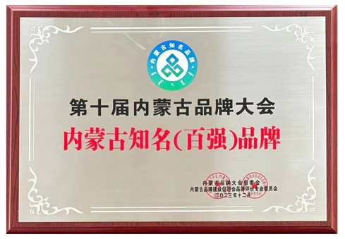 big_202402231124425689