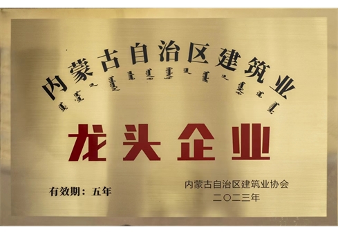 big_202402231129249193